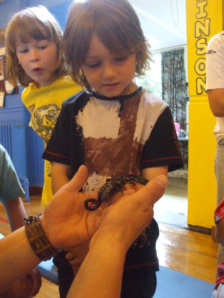 New Moston Play Scheme - With The Reptiles