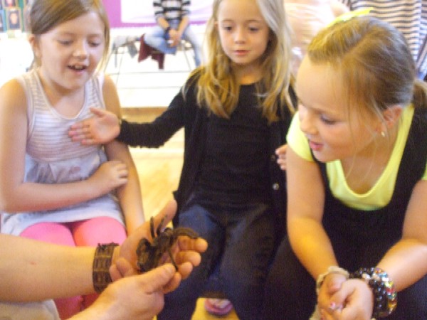 New Moston Play Scheme - With The Reptiles